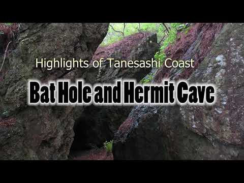 Michinoku Coastal Trail "Bat Hole and Hermit Cave"