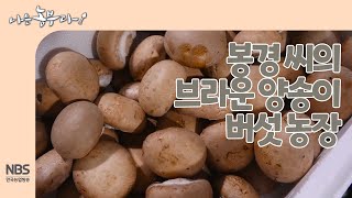 [나는농부다 235회] 봉경 씨의 브라운 양송이 버섯 농장