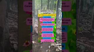 Download lagu #pengingat #tranding #fyp #viralshort mp3 Download lagu #pengingat #tranding #fyp #viralshort mp3