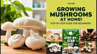 Growing Mushrooms at Home: Step-by-Step Guide for Beginners 🍄