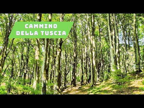 Cammino della Tuscia: Soriano nel Cimino - San Martino al Cimino