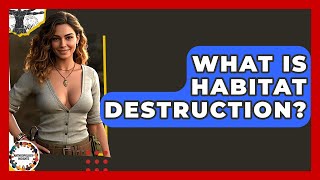 What Is Habitat Destruction? - Anthropology Insights