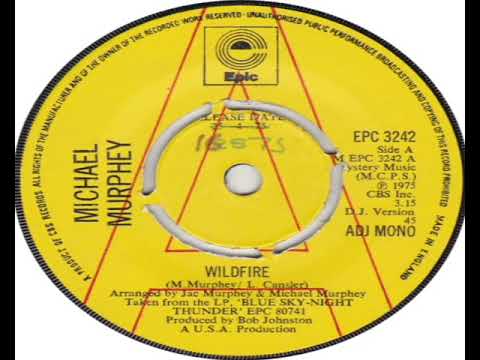 Michael Murphey   Wildfire DJ Version Mono 1975