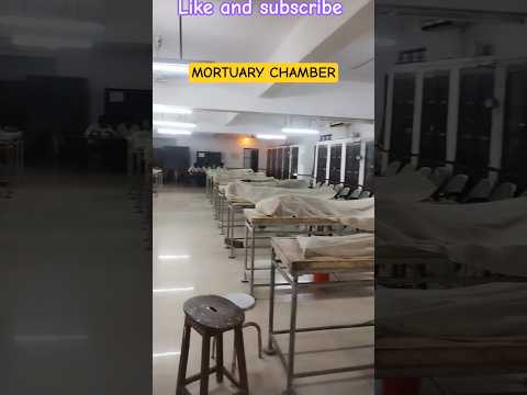 NMCH anatomy department mortuary chamber work #shorts #mortuary #ac