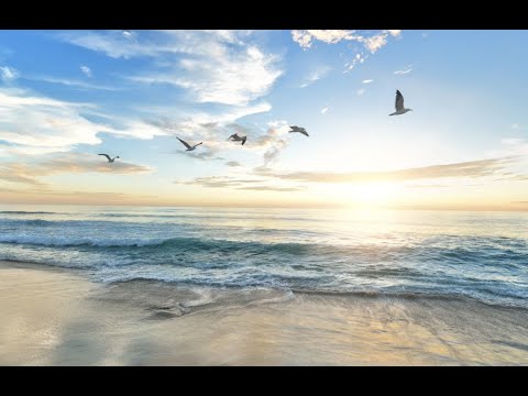 Round 1 - The Rounds of The Soul - Divine Will - Luisa Piccarreta