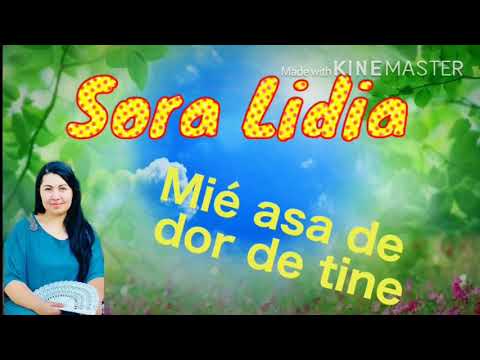 Sora Lidia - Mie așa de Dor de tine