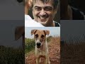 Dog Vedalam Style Shorts Viral Funny Whatsappstatus Memes