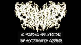 Fecalectomy - A Rancid Collection Of Amputated Anuses