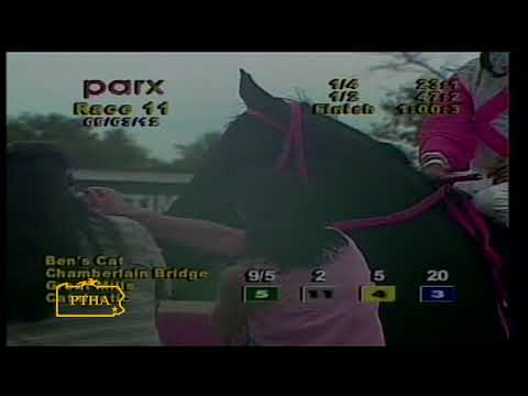 Ben's Cat Wins 2012 Turf Monster