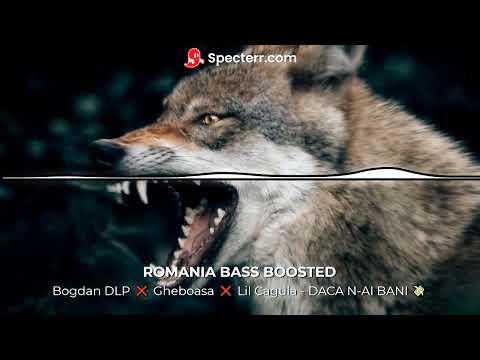 Bogdan DLP ❌ Gheboasa ❌ Lil Cagula - DACA N-AI BANI 💸 ( BASS BOOSTED)