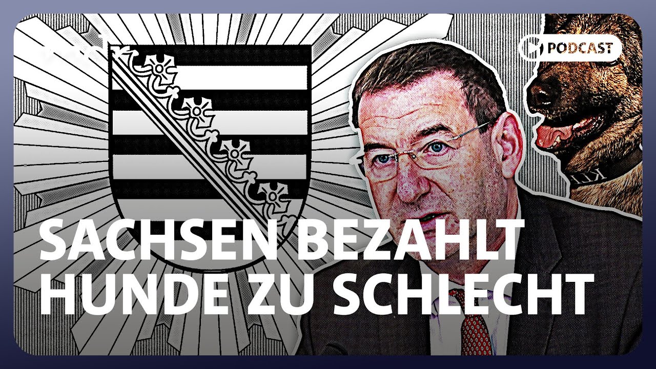 Polizeihunde in Sachsen: Kaum Geld, viel Leistung | Sachsen-Politik-Podcast | MDR