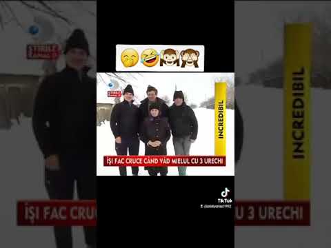 minune la stână... Întorsura Dolj