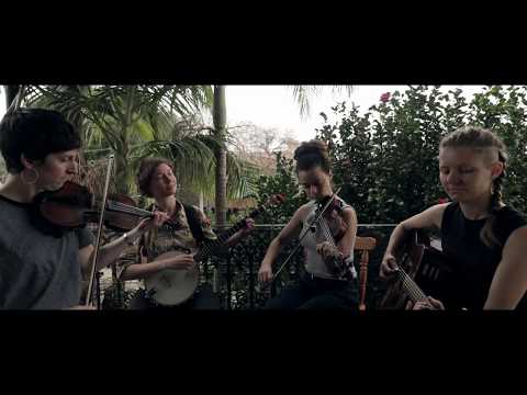 FIELD WORK #18: Whoa Mule - John Riley The Shepherd