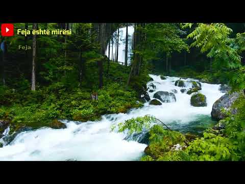 41  Surja Fussilet   Sqaruar në detaje  Kuran Shqip