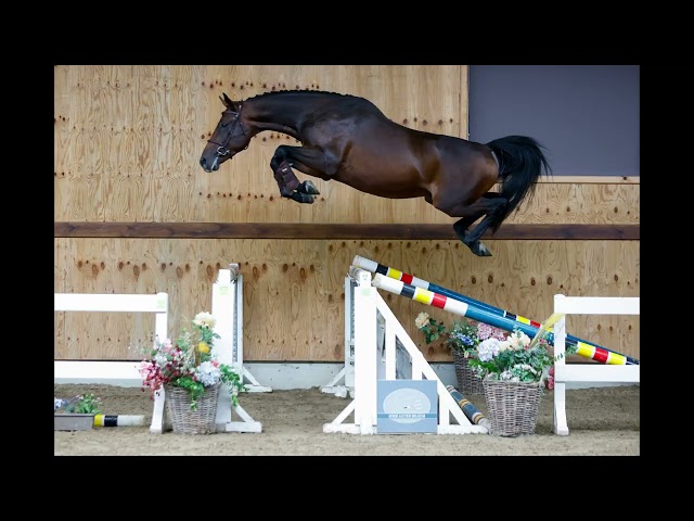 gaits