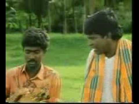 vadivelu koli (hen) comedy panjalanguruchi