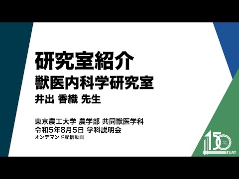 共同獣医学科 研究室紹介 獣医内科学研究室 井手香織先生