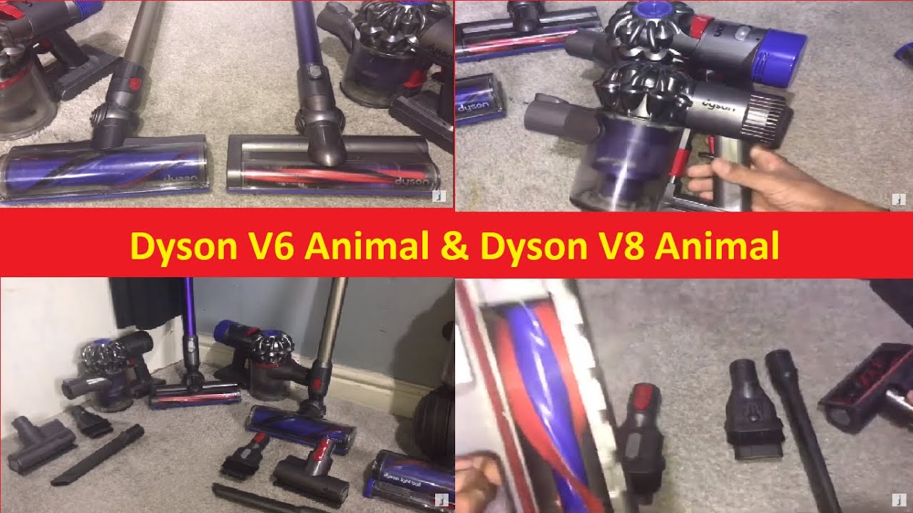 What is the difference between Dyson V6 and V6 Animal? Reading EN