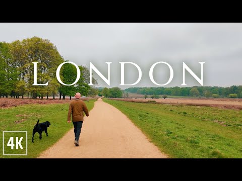 London Walk Through Beautiful Richmond Park from Wimbledon | Nature 4K