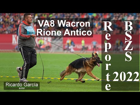 Wacron del Rione Antico