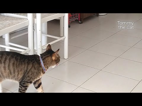 It's 4 a.m. and someone knocks at our door. Hidden camera captures what happens