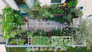 #28 Essential Tips for Starting a Balcony Vegetabl
