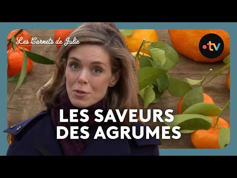 Julie's Notebooks - The Flavors of Citrus Fruits with Chef Cédric Grolet