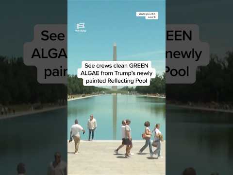See crews clean GREEN ALGAE from Trump's newly painted Reflecting Pool