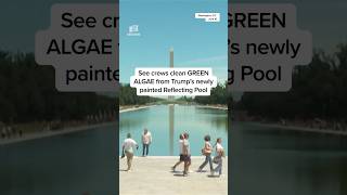 See crews clean GREEN ALGAE from Trump's newly painted Reflecting Pool 