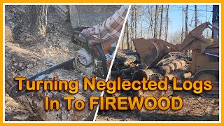 We Are LOGGING! Well, Not Quite - Turning Neglected logs into Firewood