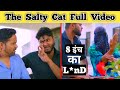The Salty Cat Full Video | Topla Bhaiya Comedy| Chauhan Vines | Joke Clips