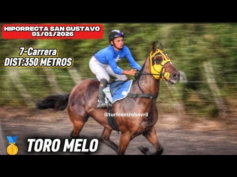 Hiporrecta San Gustavo 01/01/2026. 7°Carrera  DIST:370 METROS 🥇TORO MELO 
