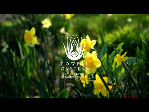 Painted Garden 2022 (Sneak Peek #2)