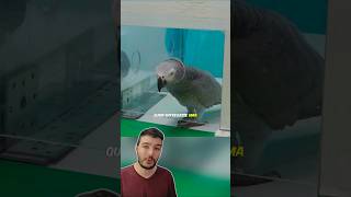 Os Papagaios Deram uma LIÇÃO no Cientista! 🦜