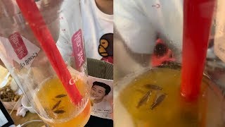 Minum Bublee Tea-nya hingga Akan Habis, Seorang Pria Baru Sadar Ada 3 Kecoa di Minumannya