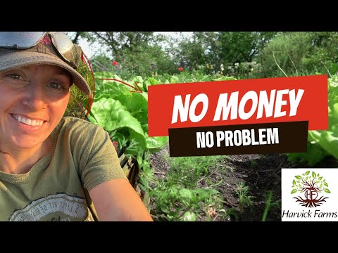 How I Got Multiple Grants for Our Farm: USDA, NRCS, SARE & More!