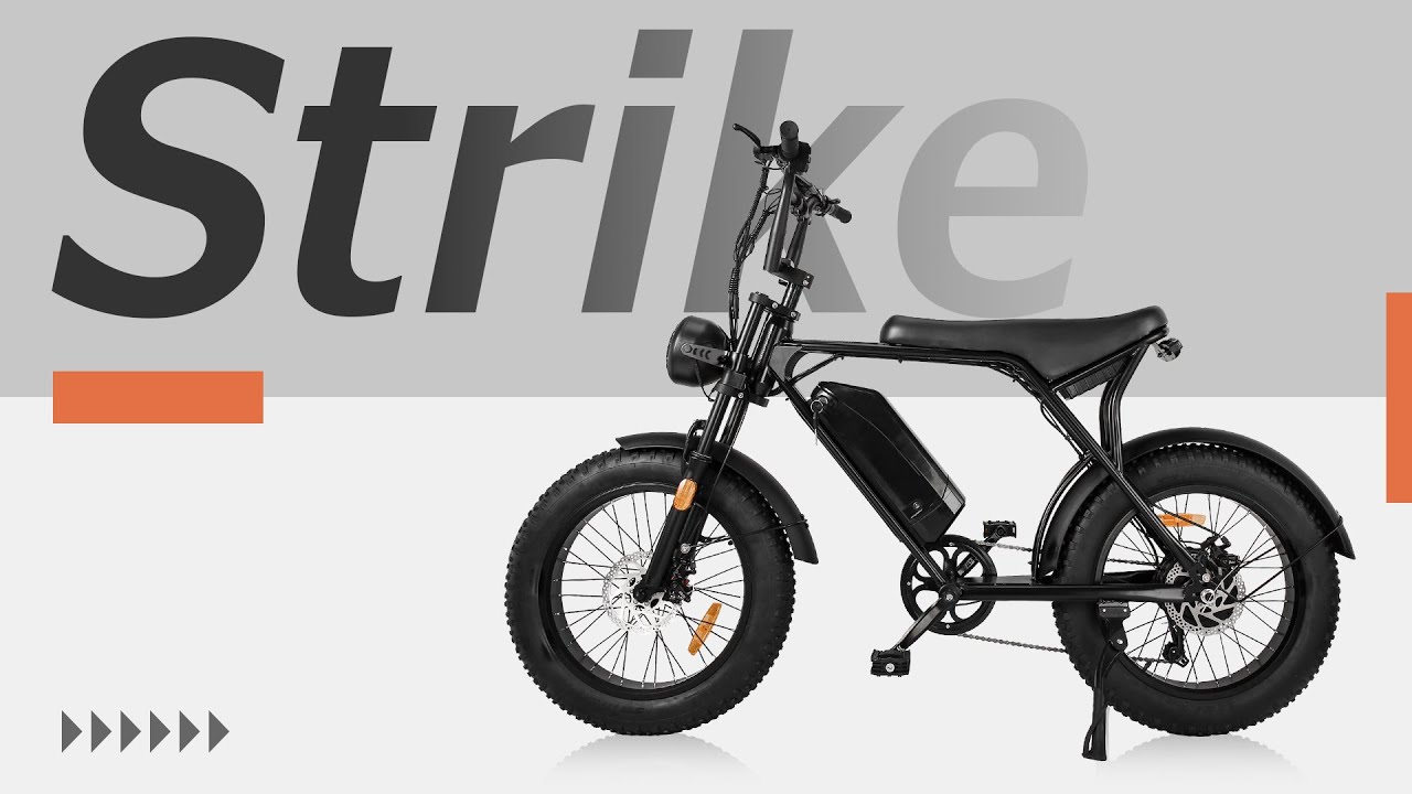 RetroEase EBIKES