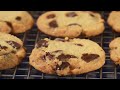 Chocolate Chip Shortbread Cookies Recipe Demonstration Joyofbaking Com