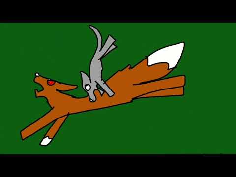 Jaykit is attacked by fox