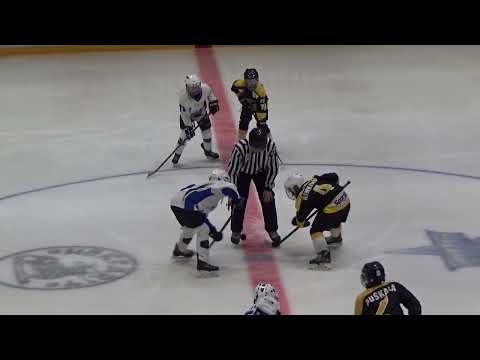 Hokkarit Valkoinen vs Pirkkalan Pingviinit