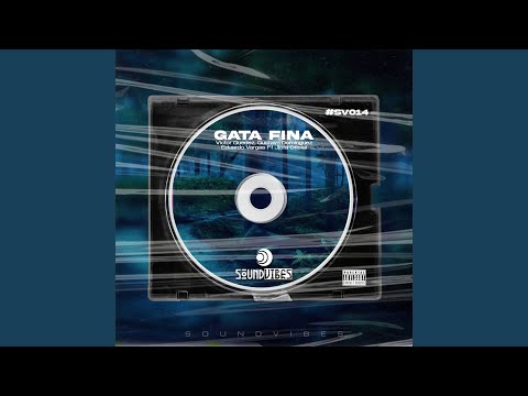 Gata Fina
