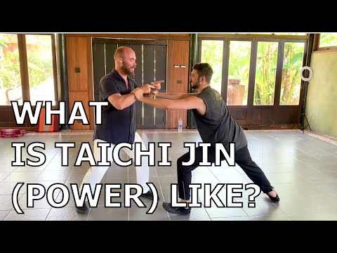 What is Taichi Jin Power Really Like? Sifu Adam Mizner DEMONSTRATES!