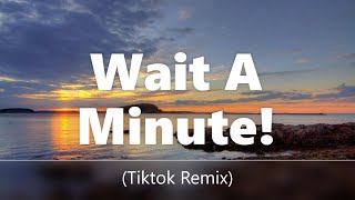Willow - Wait A Minute! (Tiktok Remix)[Lyrics] | i think I left my conscience on your front doorstep