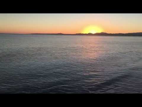 DÉJAME NACER DE NUEVO (Canto de Cuaresma)