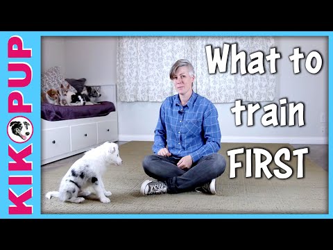 What is Clicker Training