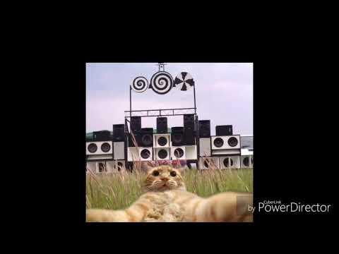 SON DE TEUF LUCAS RHT MANGE TES MORTS