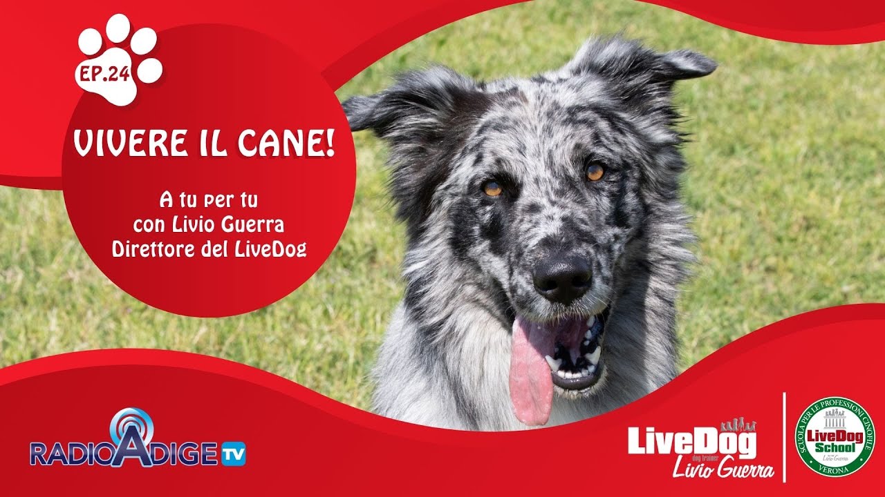 Descrizione dell'immagine