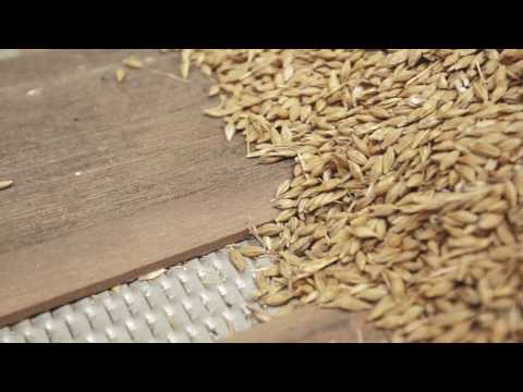 Sukup Europe / Dancorn on floor drying, Product video - English speak - English version