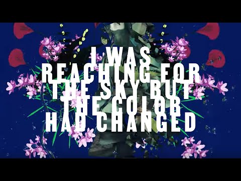 Erotic Market – I was reaching for the sky but the color had changed – Formalin Love