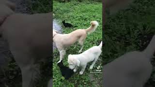 Download lagu 21. September 2022 mp3 Download lagu 21. September 2022 mp3